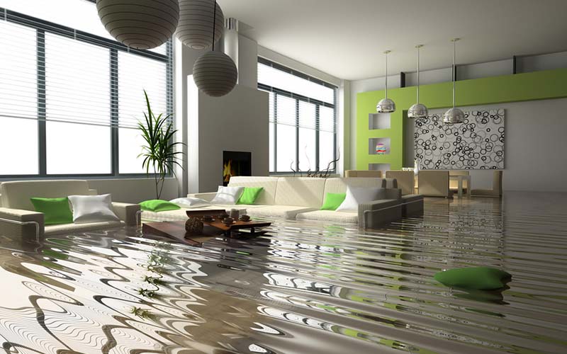 carpet cleaning in queens, carpet cleaning queens, carpet cleaners in queens, carpet cleaners in queens, commercial carpet cleaning, commercial carpet cleaning in queens, queens rug cleaners, rug cleaning services in queens, same day carpet cleaning, same day rug cleaning in queens