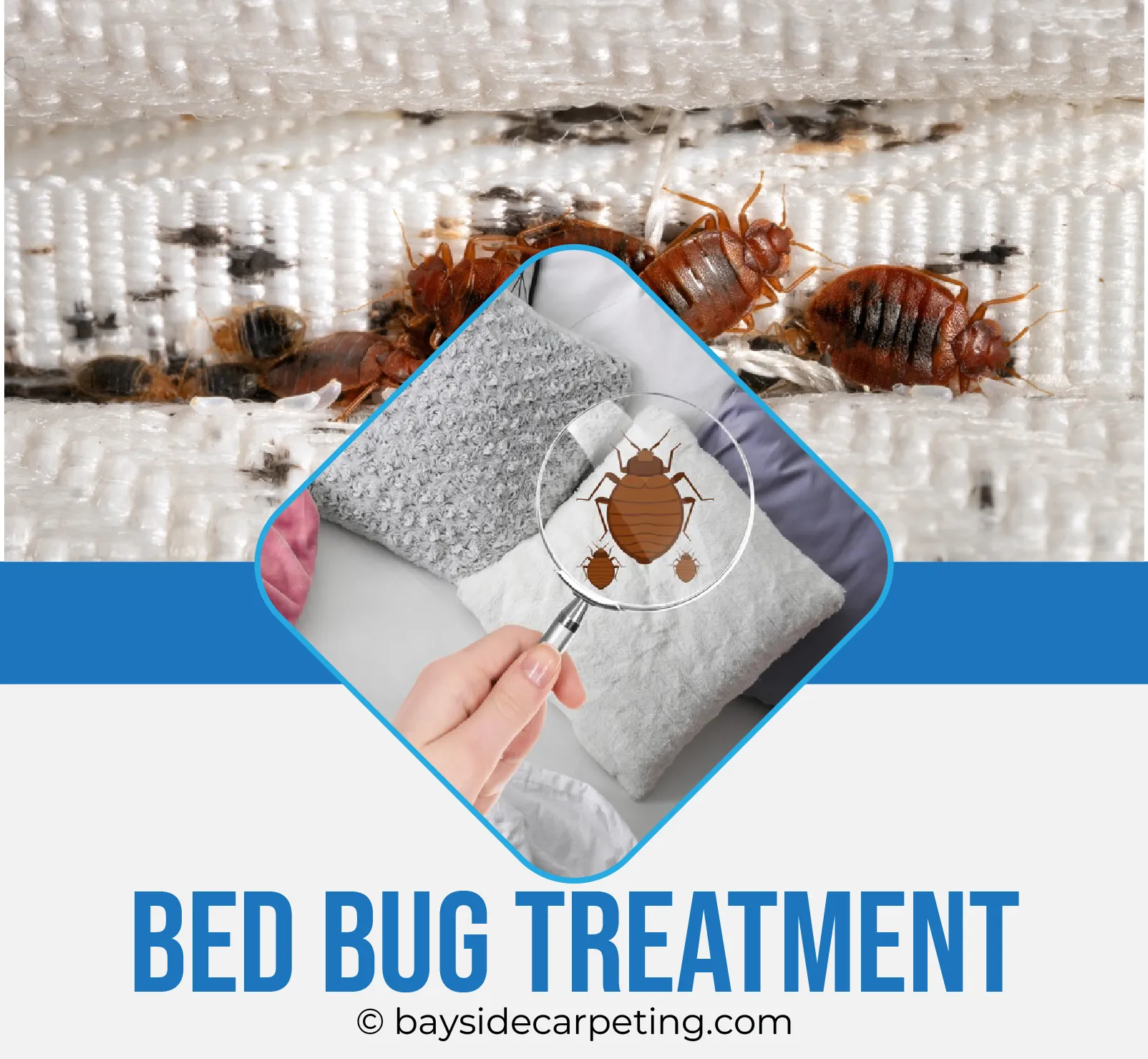 carpet cleaning in queens, carpet cleaning queens, carpet cleaners in queens, carpet cleaners in queens, commercial carpet cleaning, commercial carpet cleaning in queens, queens rug cleaners, rug cleaning services in queens, same day carpet cleaning, same day rug cleaning in queens